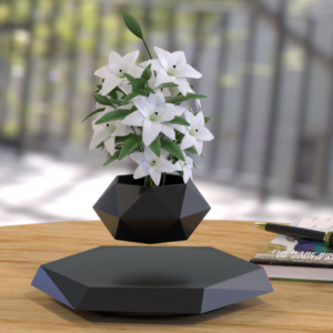Magnetic levitation planter with succulents rotating on a wooden desk