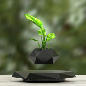 Levitating bonsai planter hovering above its hexagonal base in a garden