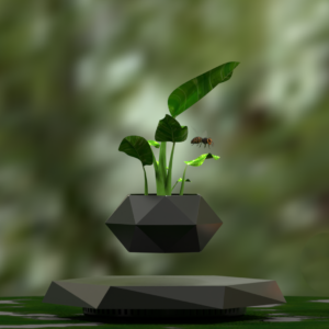 Black hexagon levitating flower pot on a minimalist shelf