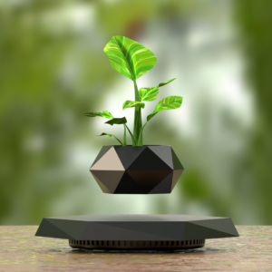 Magnetic floating plant pot with fresh green plant on a patio