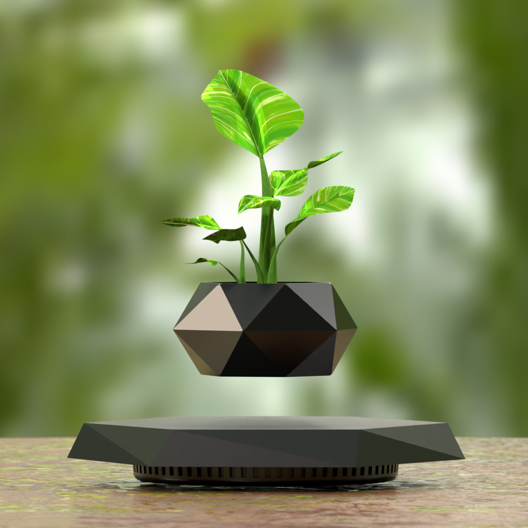 Magnetic floating plant pot with fresh green plant on a patio