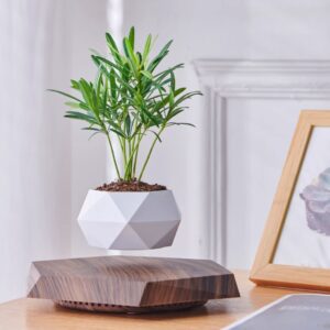 Levitating plant pot wood grain base