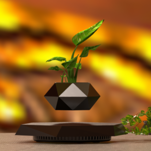 Levitating plant pot warm bokeh background