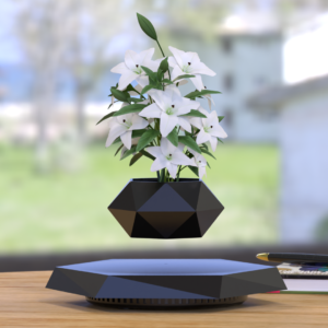 Hexagonal levitating plant pot with white lilies floating over black base