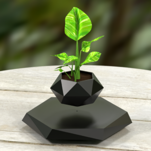Floating plant pot close-up with green leaves